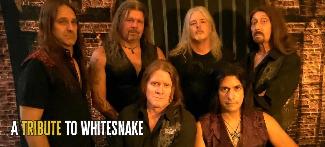 Knightsnake: a Tribute to Whitesnake Band Members
